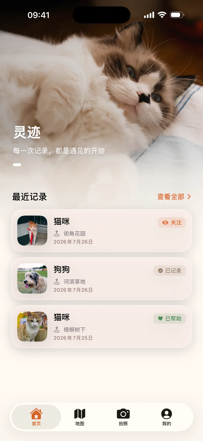 灵迹首页界面：顶部一张长毛白猫照片，下面是按时间排好的最近记录