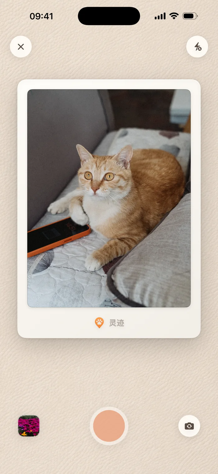 灵迹拍照界面：拍立得取景框里是躺在坐垫上的一只橘猫