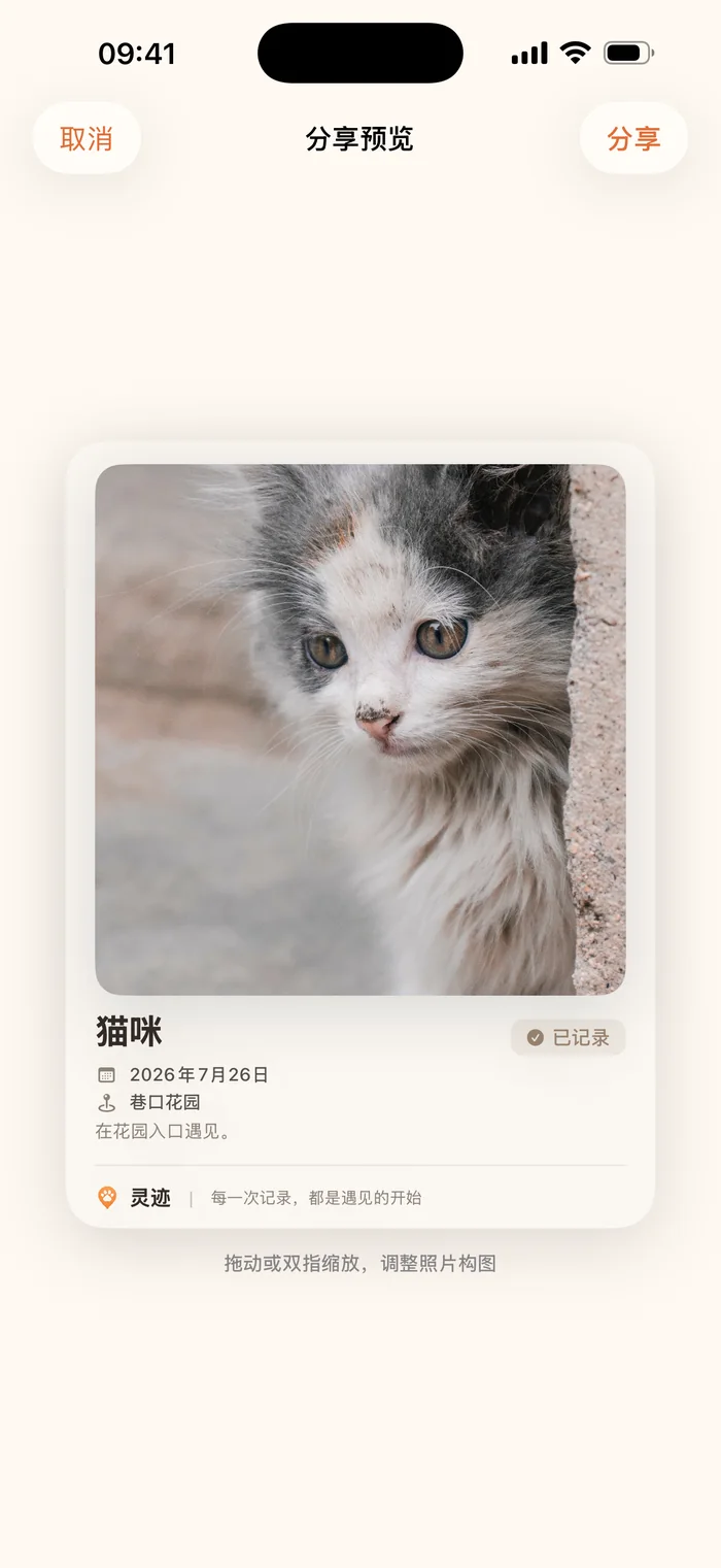 灵迹分享预览界面：灰白色小猫的记录卡片与分享按钮