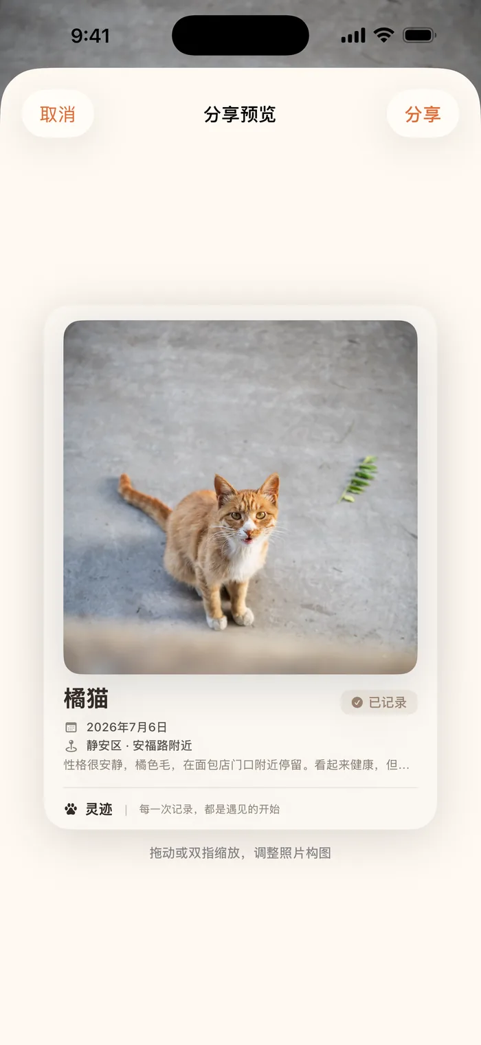 灵迹分享预览界面:橘猫记录卡片与分享按钮